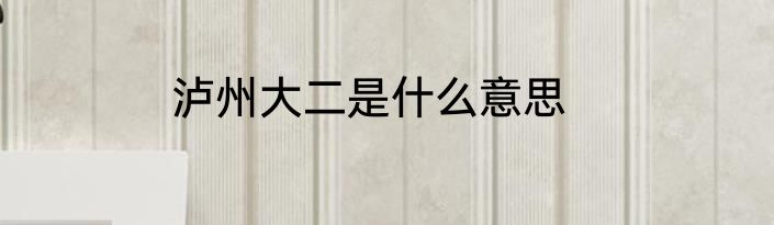 泸州大二是什么意思