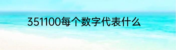351100每个数字代表什么