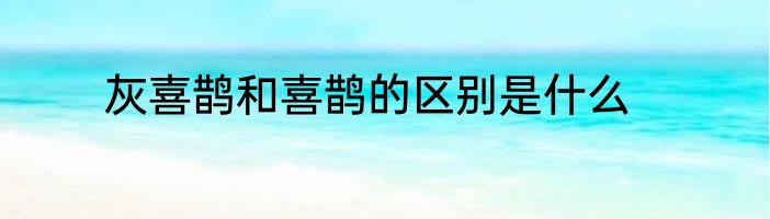 灰喜鹊和喜鹊的区别是什么