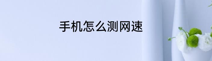 手机怎么测网速