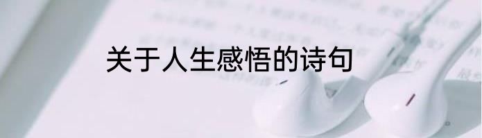 关于人生感悟的诗句