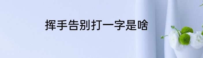 挥手告别打一字是啥