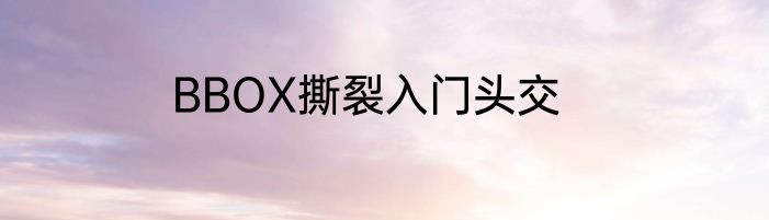 BBOX撕裂入门头交