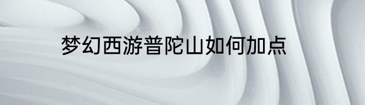 梦幻西游普陀山如何加点