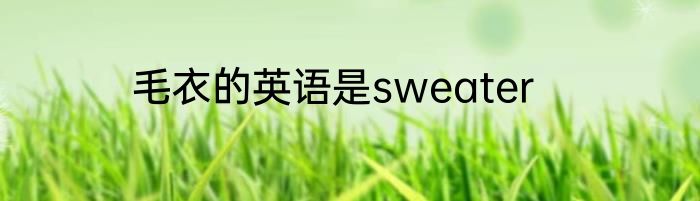 毛衣的英语是sweater