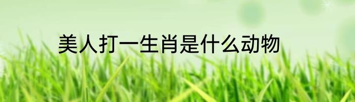 美人打一生肖是什么动物