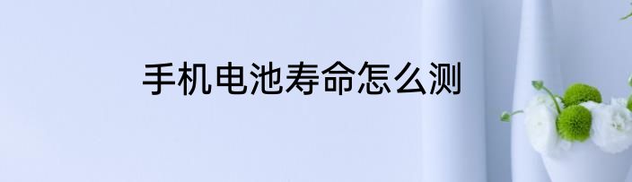 手机电池寿命怎么测