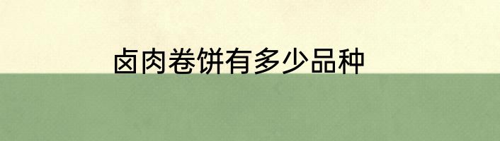 卤肉卷饼有多少品种