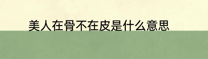 美人在骨不在皮是什么意思