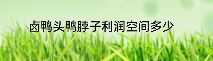 卤鸭头鸭脖子利润空间多少