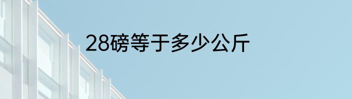 28磅等于多少公斤