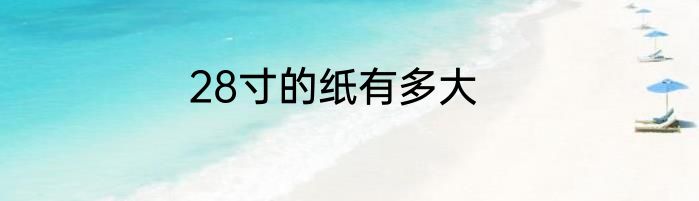 28寸的纸有多大