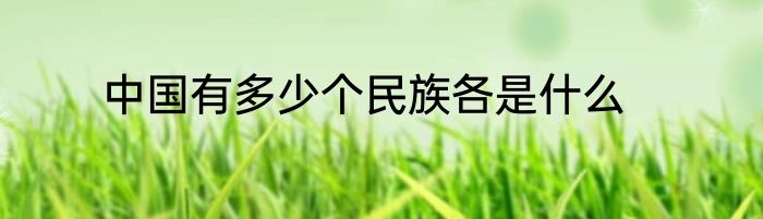 中国有多少个民族各是什么