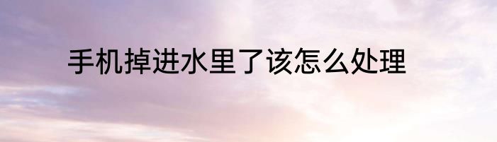 手机掉进水里了该怎么处理