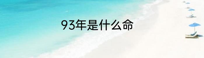 93年是什么命