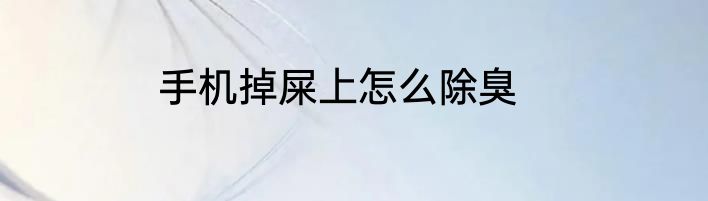 手机掉屎上怎么除臭