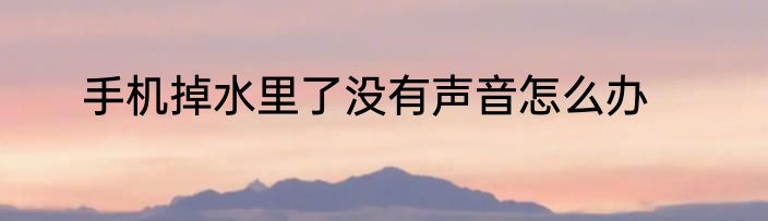 手机掉水里了没有声音怎么办