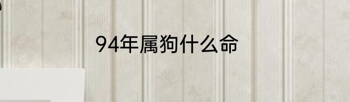 94年属狗什么命