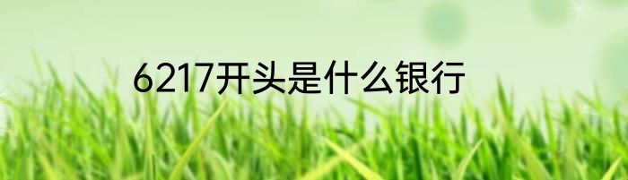 6217开头是什么银行