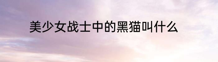 美少女战士中的黑猫叫什么