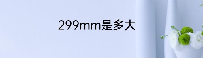 299mm是多大