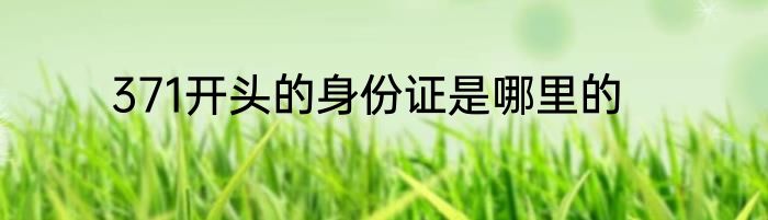 371开头的身份证是哪里的