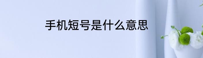 手机短号是什么意思