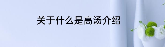 关于什么是高汤介绍