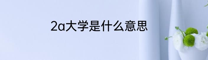 2a大学是什么意思