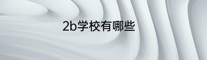 2b学校有哪些