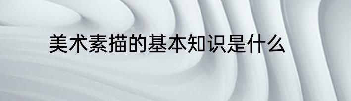 美术素描的基本知识是什么