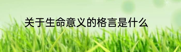 关于生命意义的格言是什么