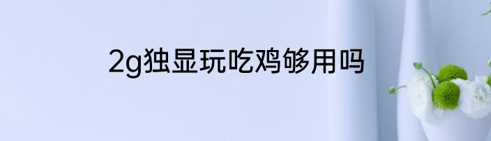 2g独显玩吃鸡够用吗