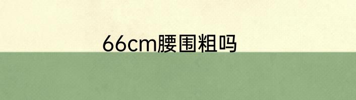 66cm腰围粗吗