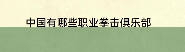 中国有哪些职业拳击俱乐部