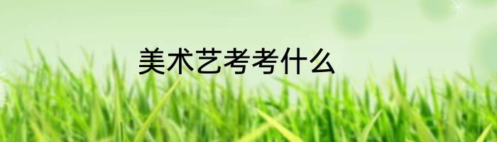 美术艺考考什么