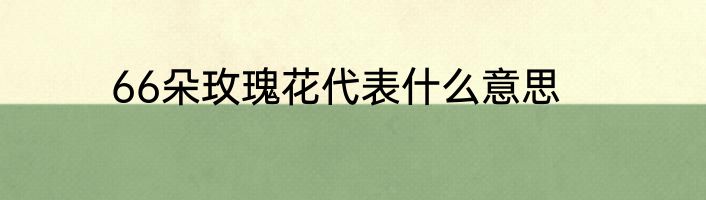 66朵玫瑰花代表什么意思