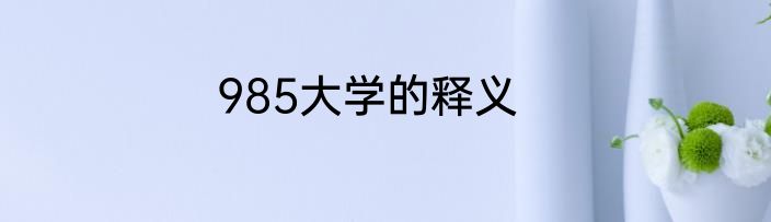 985大学的释义