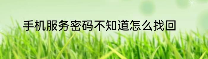 手机服务密码不知道怎么找回