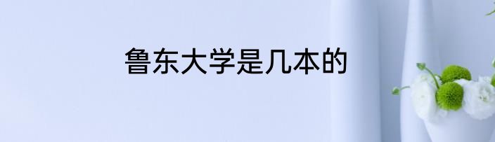 鲁东大学是几本的