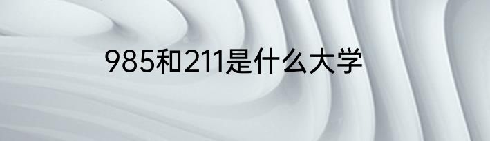 985和211是什么大学