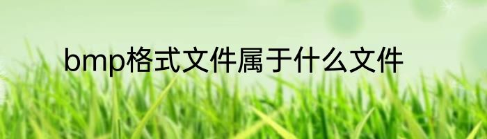 bmp格式文件属于什么文件