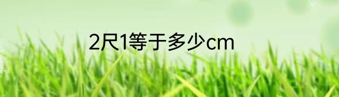 2尺1等于多少cm
