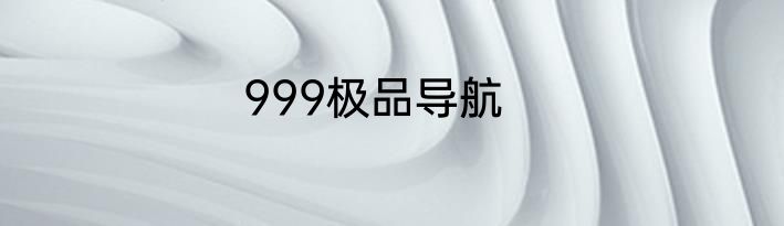 999极品导航