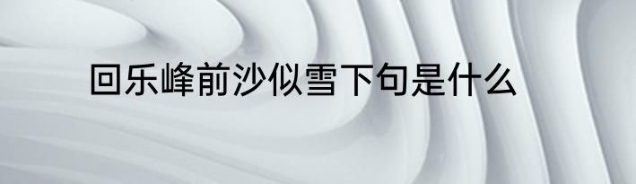 回乐峰前沙似雪下句是什么