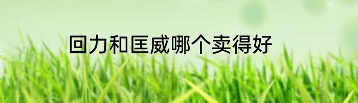 回力和匡威哪个卖得好
