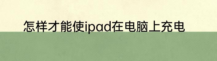 怎样才能使ipad在电脑上充电