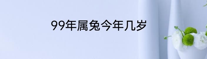 99年属兔今年几岁