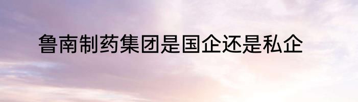 鲁南制药集团是国企还是私企