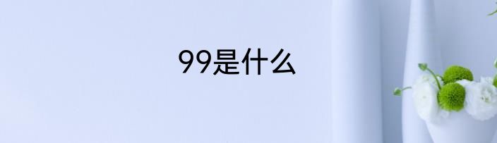 99是什么